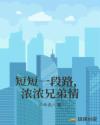 短短一段路，浓浓兄弟情章节列表