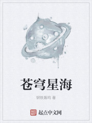 苍穹星海章节列表