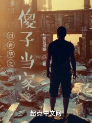 四合院之傻子当家章节列表