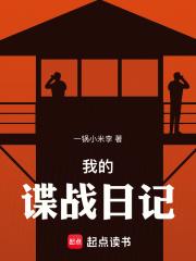 我的谍战日记章节列表