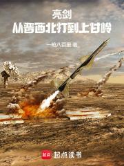 亮剑：从晋西北打到上甘岭章节列表