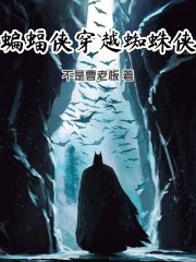 蝙蝠侠穿越蜘蛛侠章节列表