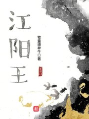 江阳王章节列表