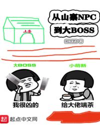 从山寨npc到大BOSS章节列表